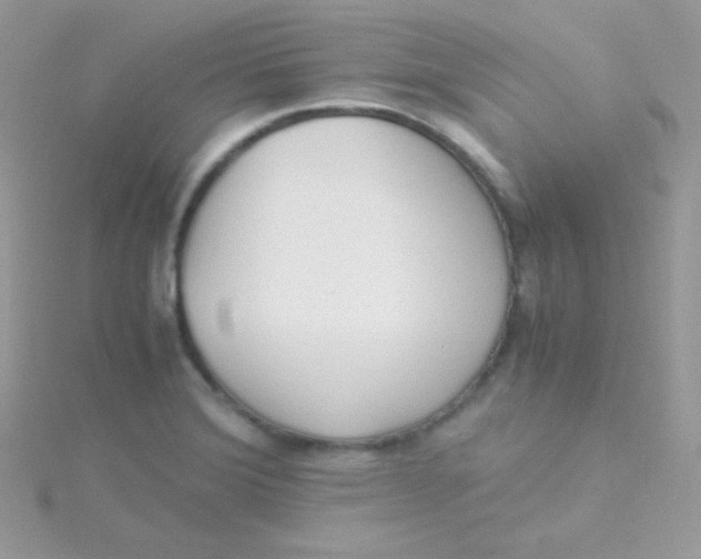 X0000115501372200911271401