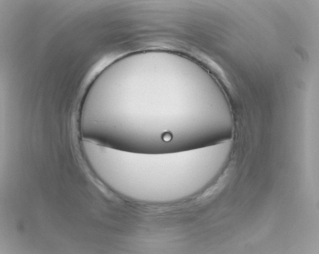 X0000115501373200911271400