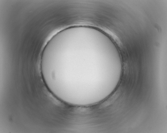 X0000115501374200911271400