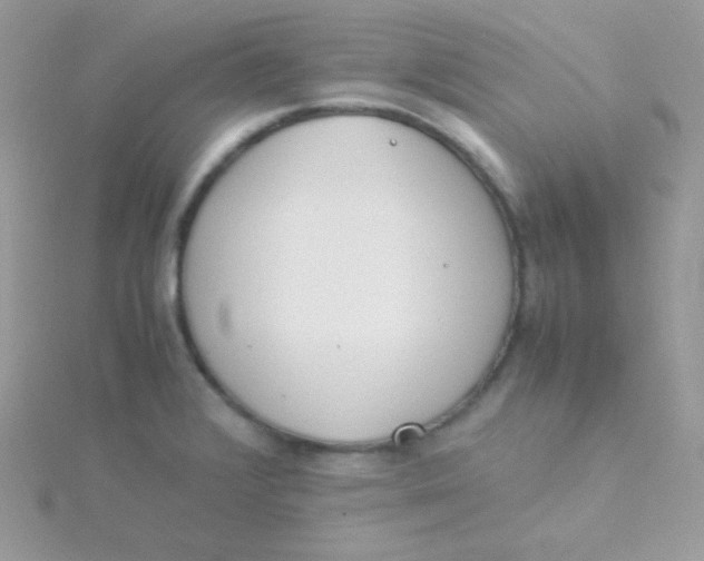 X0000115501376200911271400