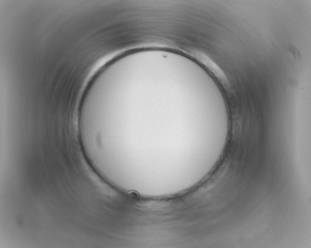 X0000115501380200911271400