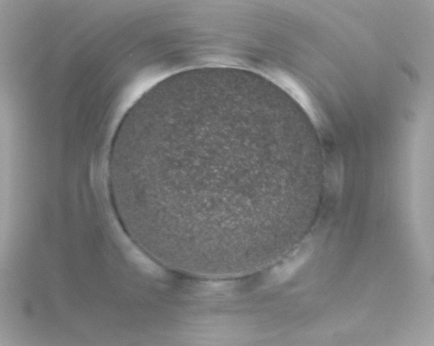 X0000115501381200911271400