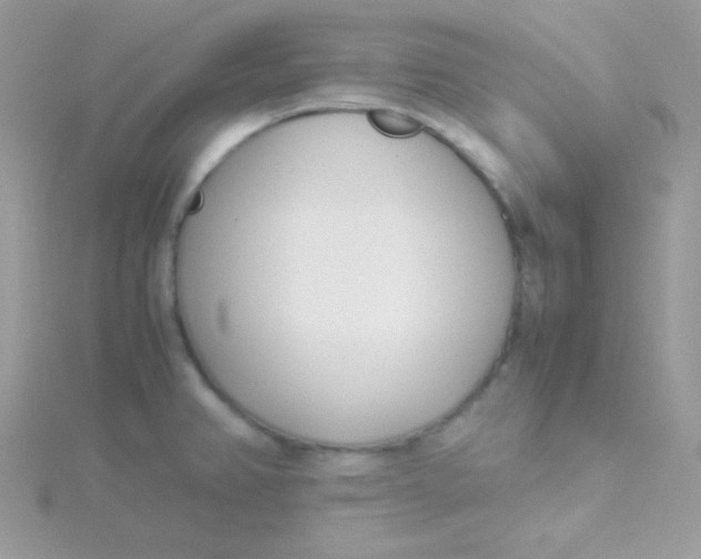 X0000115501382200911271400