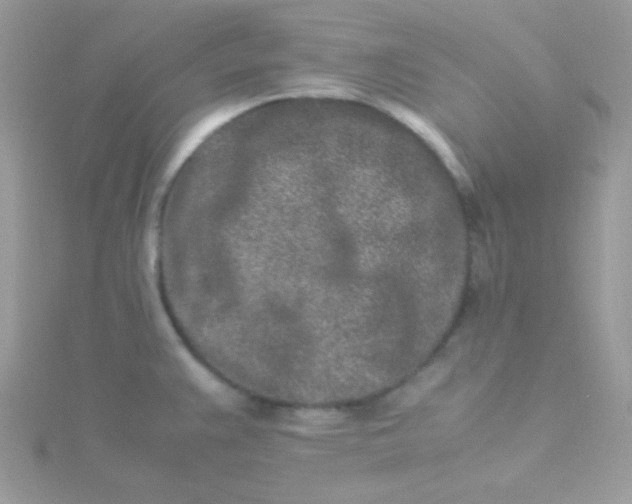 X0000115501383200911271400