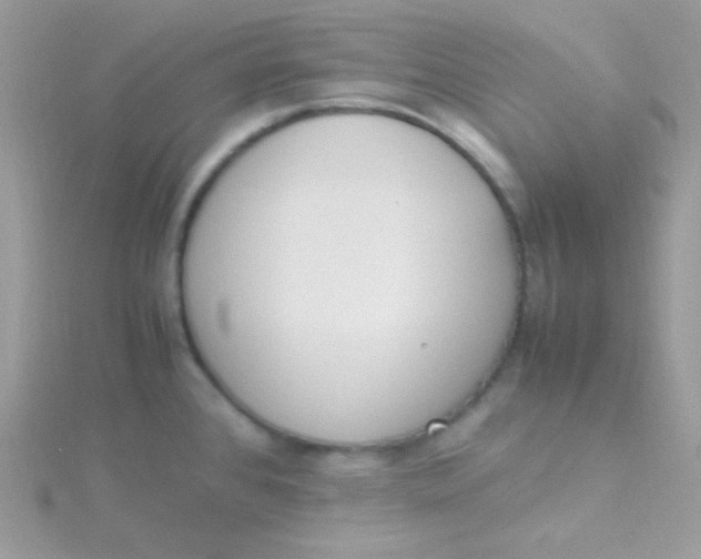 X0000115501384200911271400