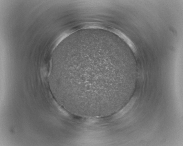 X0000115501385200911271400