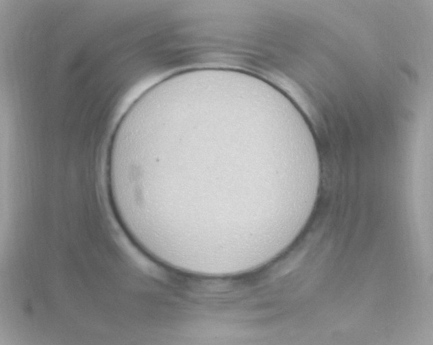 X0000115501387200911271400