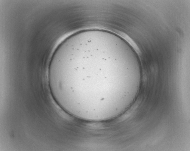 X0000115501388200911271400