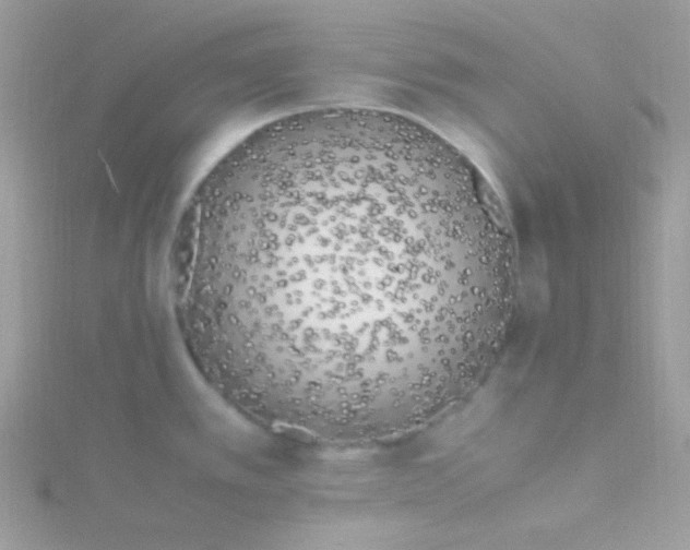 X0000115501389200911271400