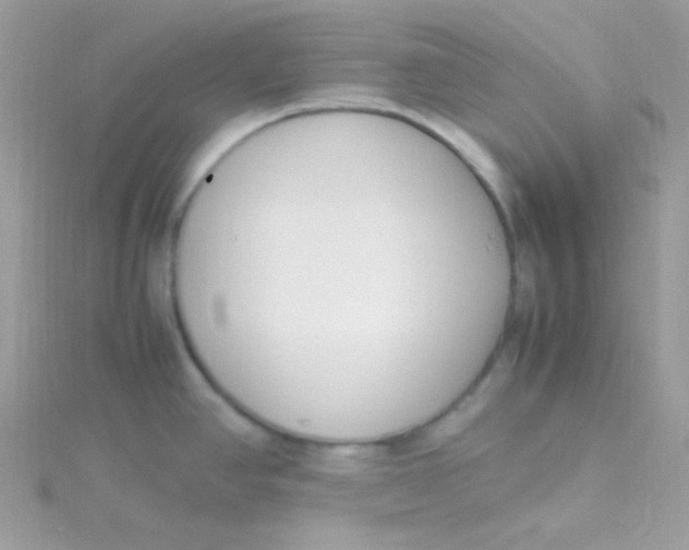 X0000115501390200911271400