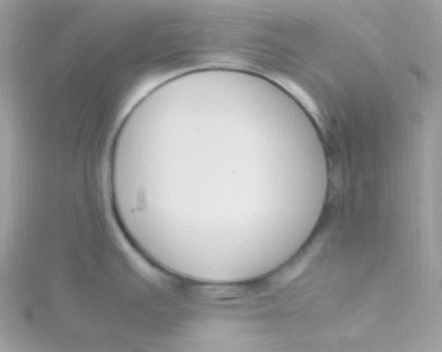 X0000115501391200911271400