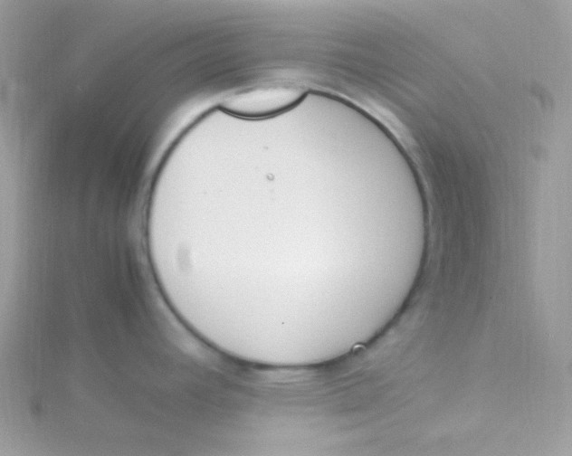 X0000115501392200911271400