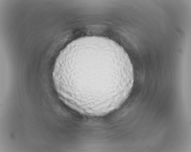 X0000115501393200911271400