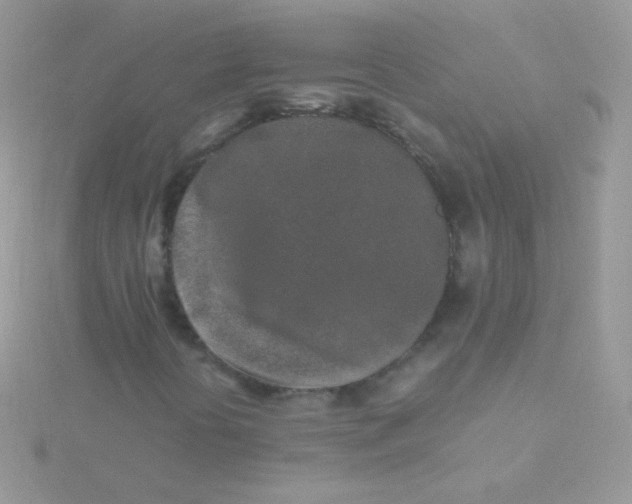 X0000115501394200911271400