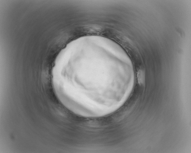 X0000115501395200911271400