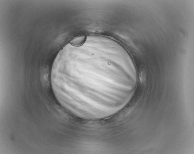 X0000115501396200911271400