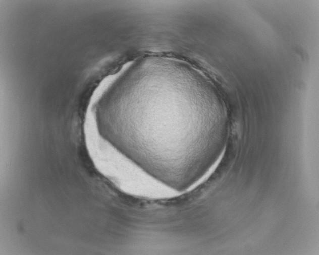 X0000115501398200911271400