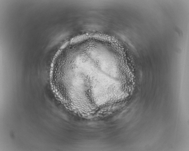 X0000115501399200911271400