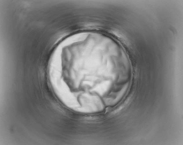 X0000115501401200911271400