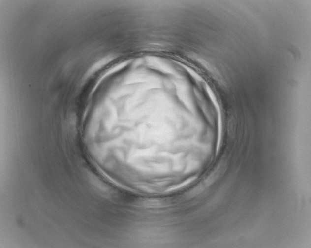 X0000115501402200911271400