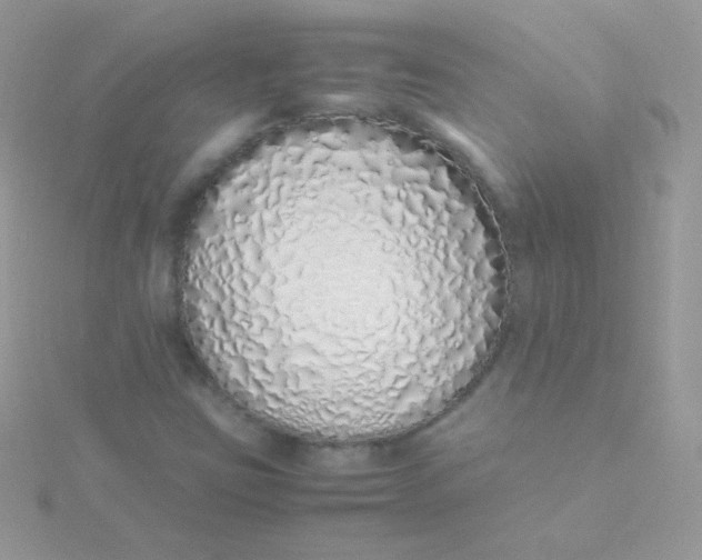 X0000115501403200911271400