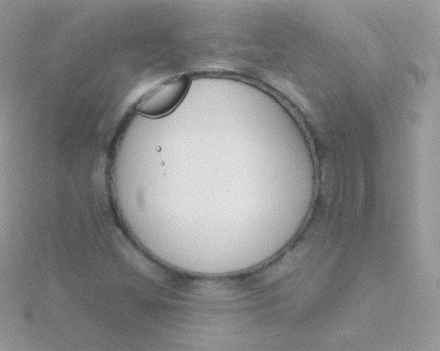 X0000115501404200911271400