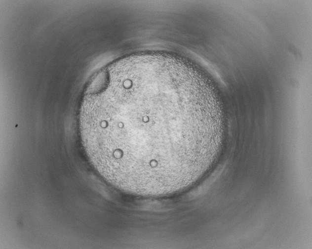 X0000115501405200911271400