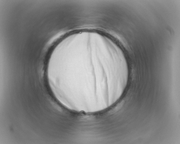 X0000115501406200911271400