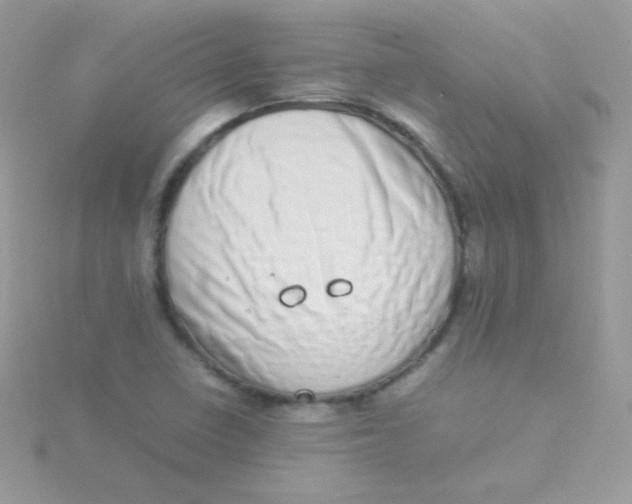 X0000115501410200911271400