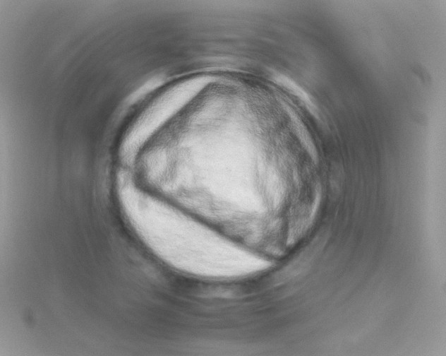 X0000115501411200911271400