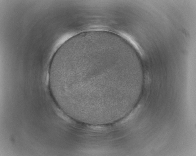 X0000115501413200911271400