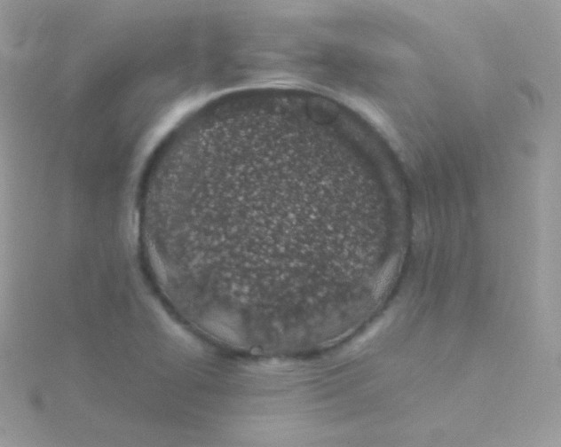 X0000115501414200911271400