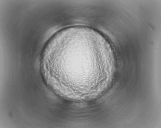 X0000115501415200911271400