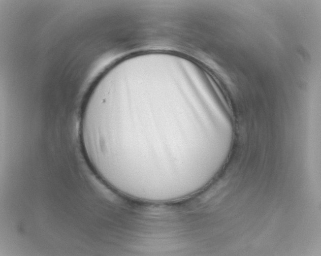 X0000115501416200911271400