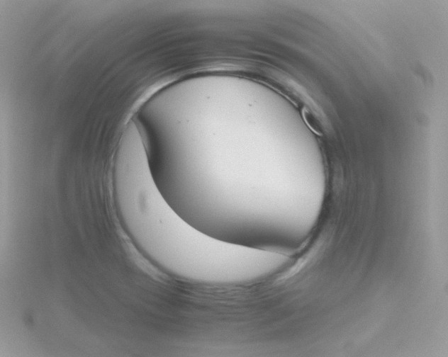 X0000115501417200911271400