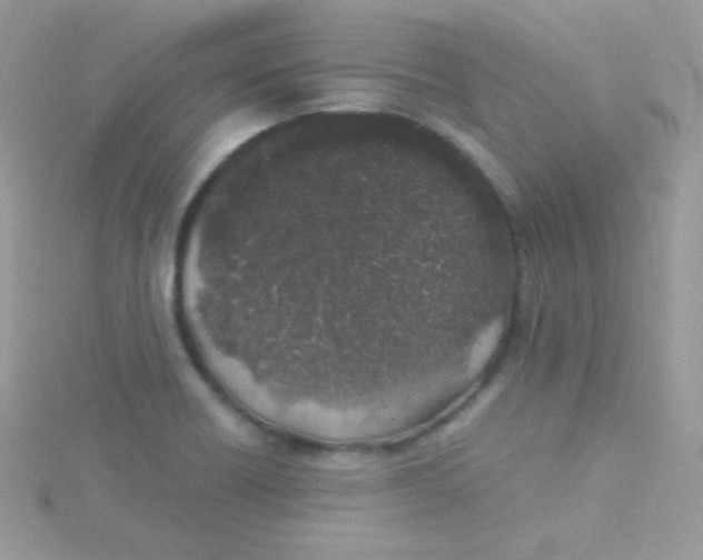 X0000115501418200911271400