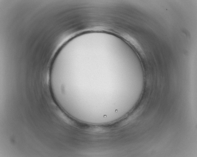 X0000115501420200911271400