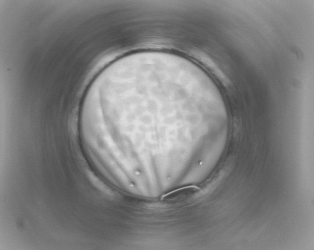 X0000115501421200911271400