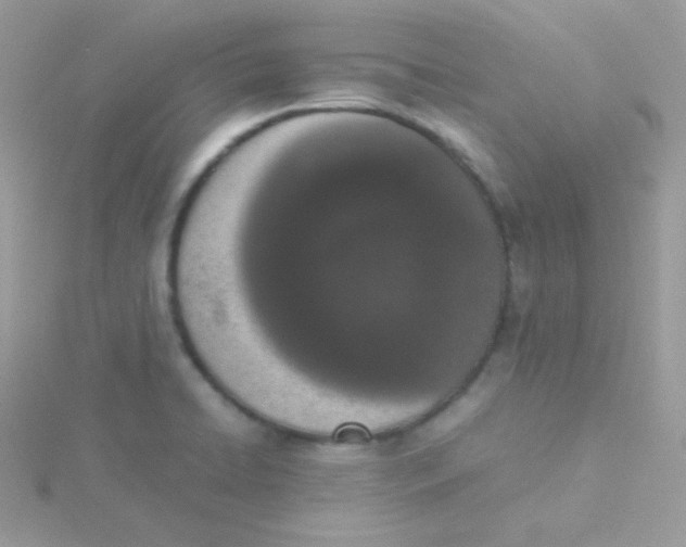 X0000115501422200911271400