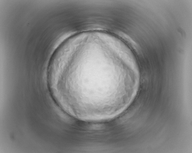 X0000115501423200911271400