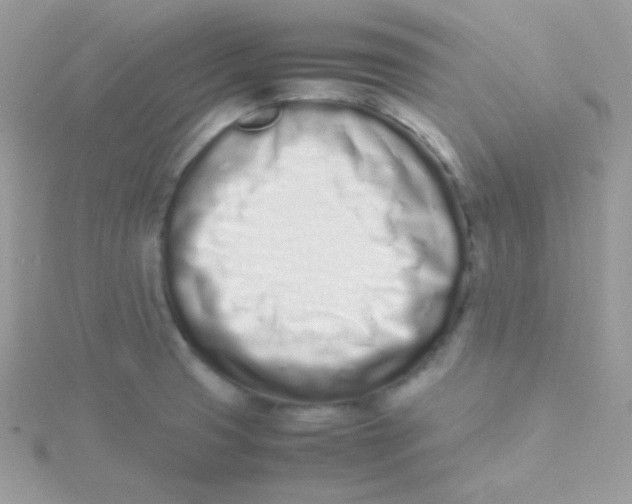 X0000115501425200911271400