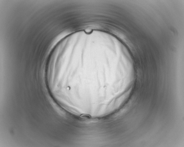 X0000115501426200911271400