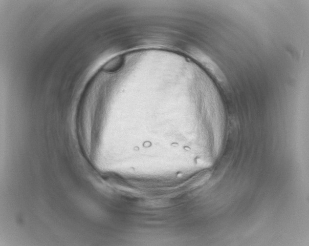 X0000115501427200911271400