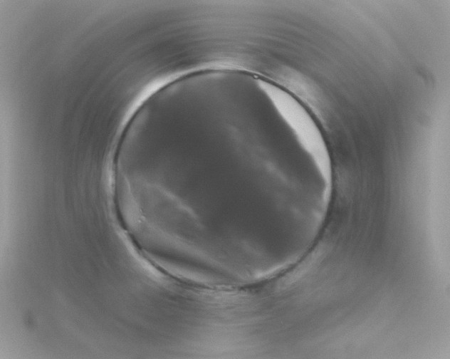 X0000115501428200911271400