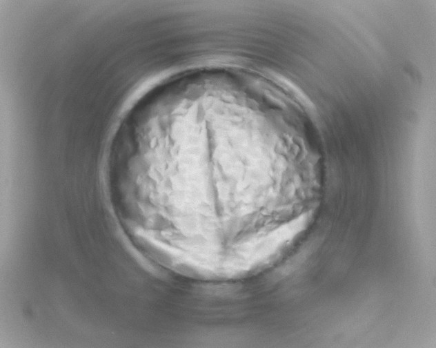 X0000115501429200911271400