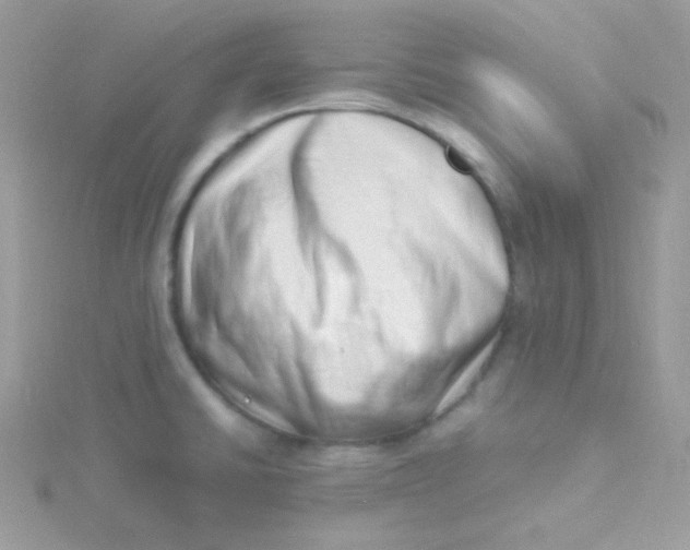 X0000115501430200911271400