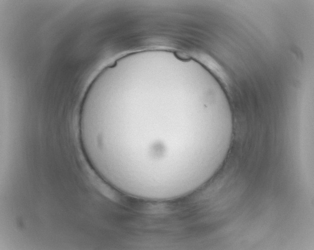 X0000115501431200911271400