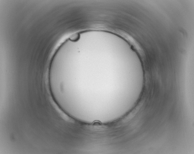 X0000115501432200911271400