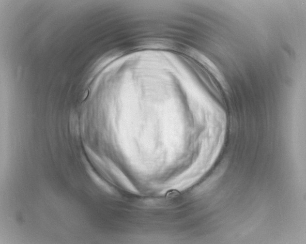 X0000115501433200911271400