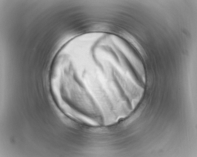 X0000115501434200911271400